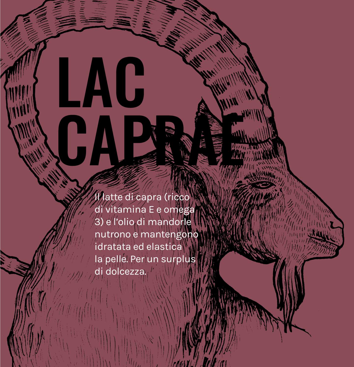 apothecarymilano_notebooks_bodycare_natural_lac_caprae_sx_v1